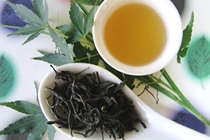 武夷岩茶：水金亀